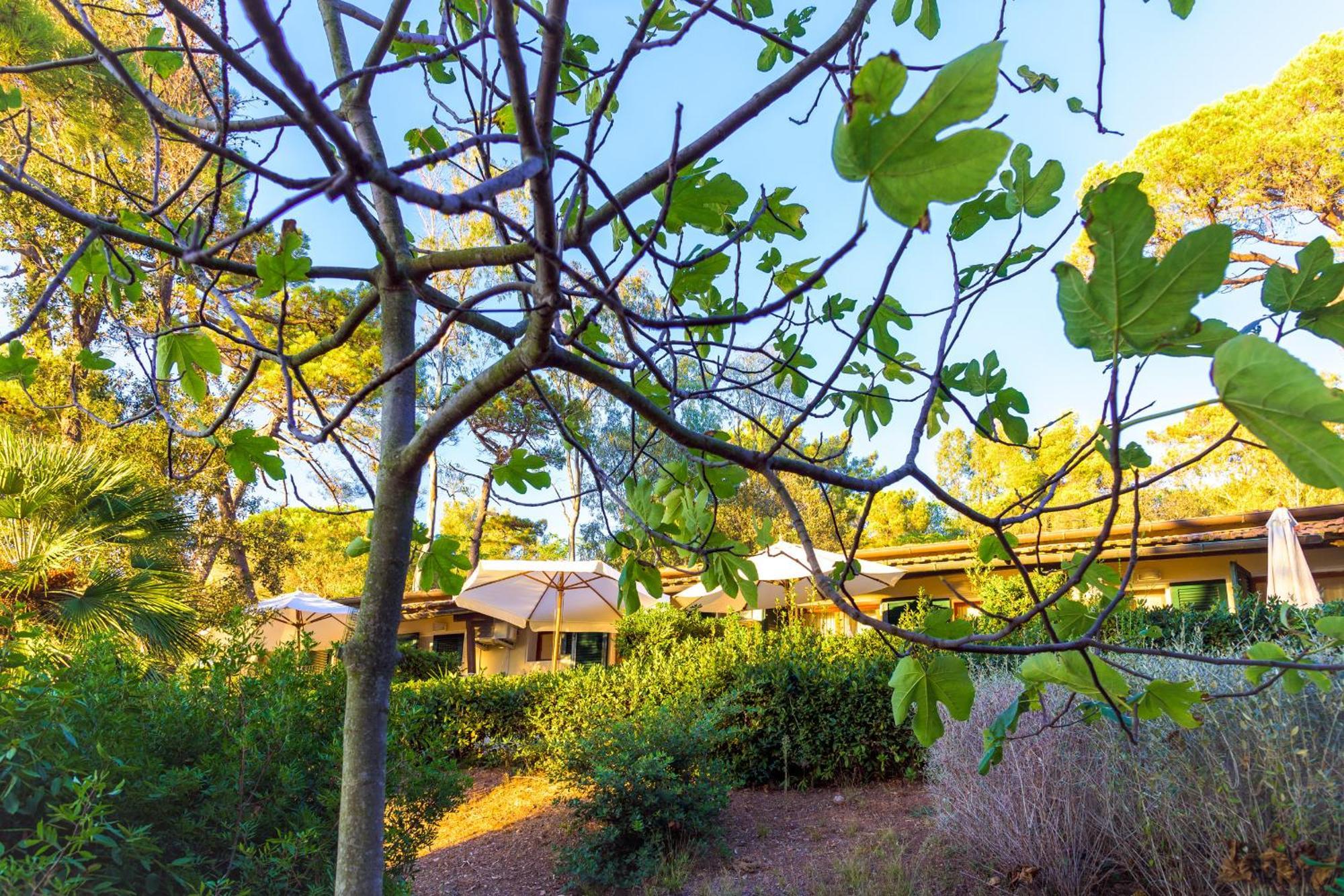Hotel Villa Ottone ปอร์โตแฟร์ราโย ภายนอก รูปภาพ